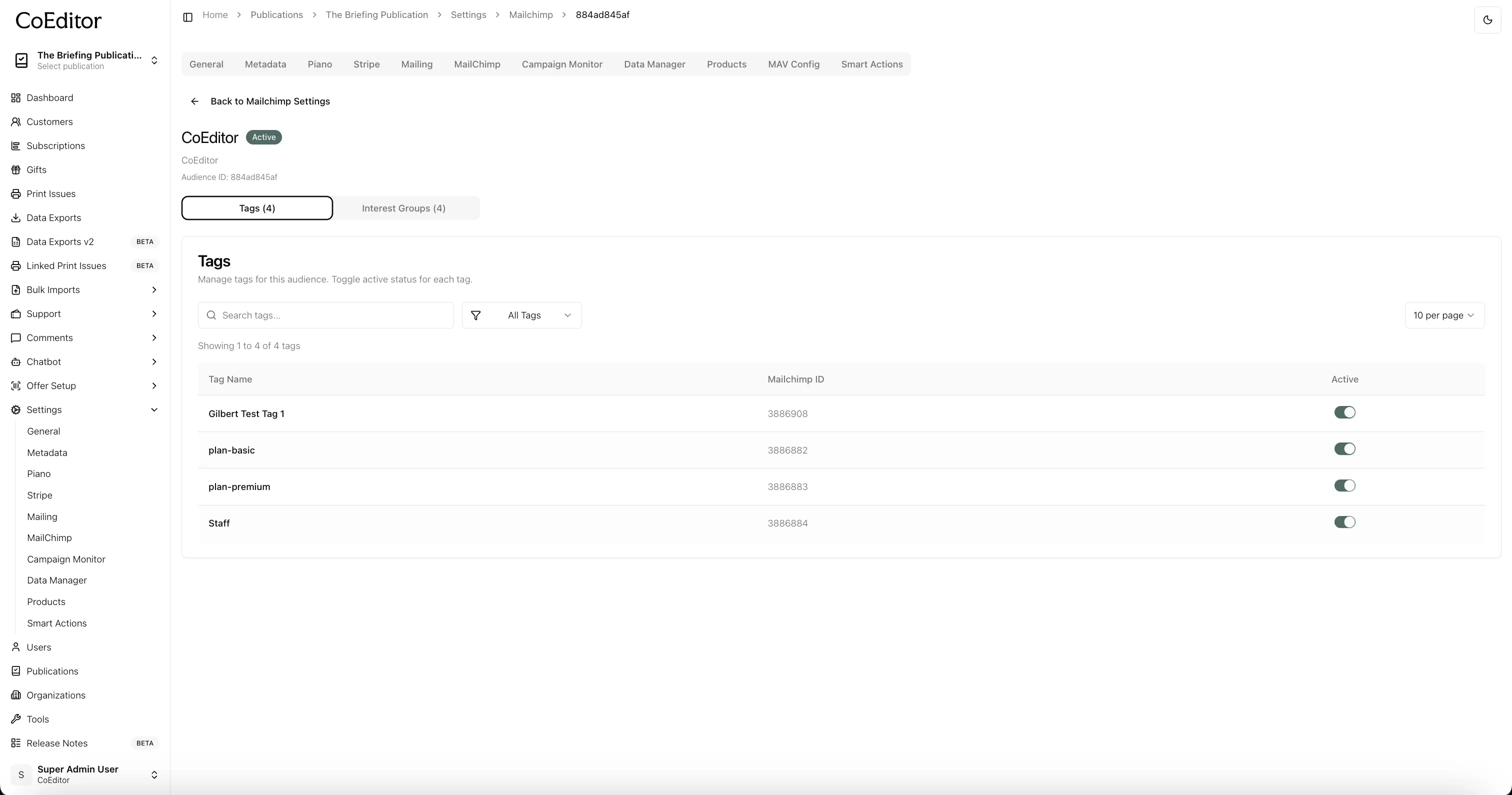Activate tags for an audience